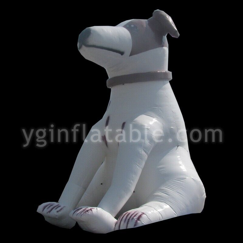 GC094inflatable inflatableGC094