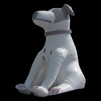 inflatable